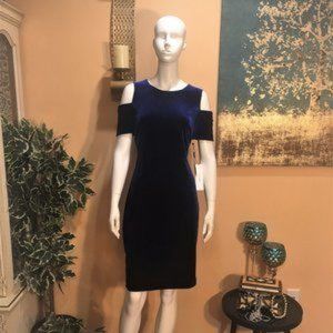 NWT Calvin Klein Velvet Sapphire/Bleu Dress size12